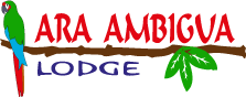 Ara Ambigua Lodge